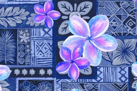 banner_contact_oht_ori-heitiare_tahiti