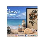 hinavaib_festival_oht