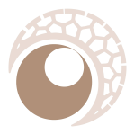 logo_oriata_clothing_web